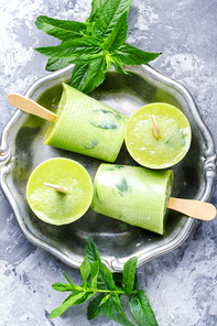 Homemade vanilla ice cream with fresh mint leaves