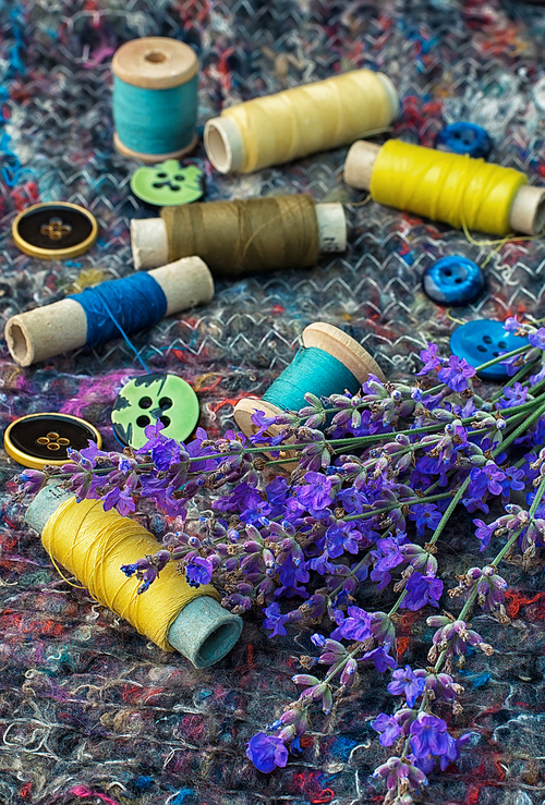 sewing thread and buttons on the background batting is decorated with blooming lavender.Photo tinted.