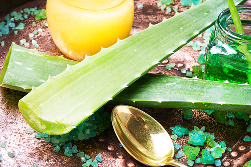 Aloe Vera leaves and honey for spa treatments