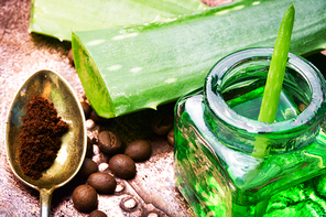Aloe Vera leaves and jar with extract for spa.Healthy aloe vera.