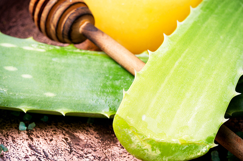 Aloe Vera leaves and honey for spa treatments