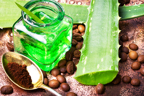 Aloe Vera leaves and jar with extract for spa.Healthy aloe vera.