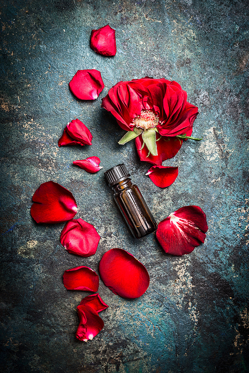 Red roses and bottle of essential oil on dark rustic background, top view