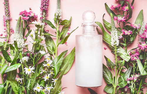 Glass bottle with natural cosmetic product: lotion or shampoo with fresh herbs and flowers on pink background, top view.  Beauty, skin, hair or body care concept