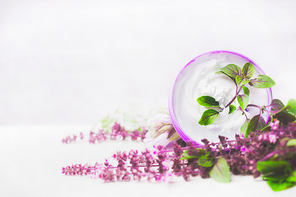 Skin care cream in jar with purple herbs on white wooden background. Natural cosmetic concept