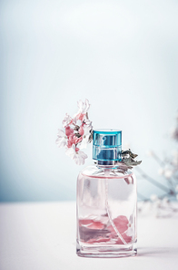 Perfume bottle with flowers, front view. Perfumery, cosmetics, botanical fragrance concept. Pastel color. Beauty concept