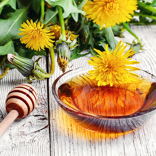 Saucer therapeutic honey made from dandelions in national recipe