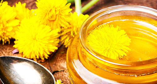 Honey from blossoming spring dandelions, as a medicine.Dandelion jam