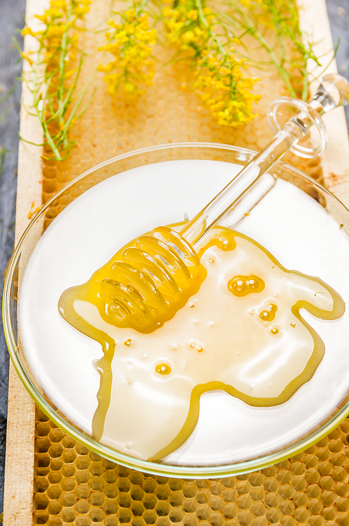 Fresh honey in glass plate with dipper on honeycomb, close up
