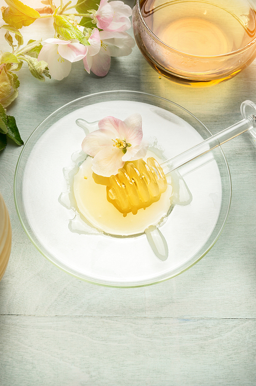 Glass plate with honey and dipper, cup of tea with spring blossom, top view