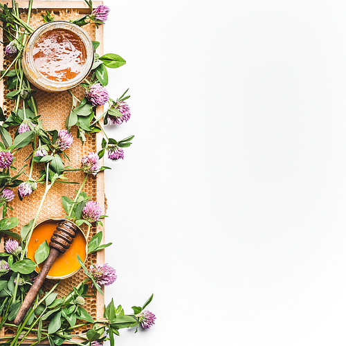 Honey in jar with dipper, honeycomb frame and wild flowers on white background, top view. Healthy  food, flat lay, border, vertical