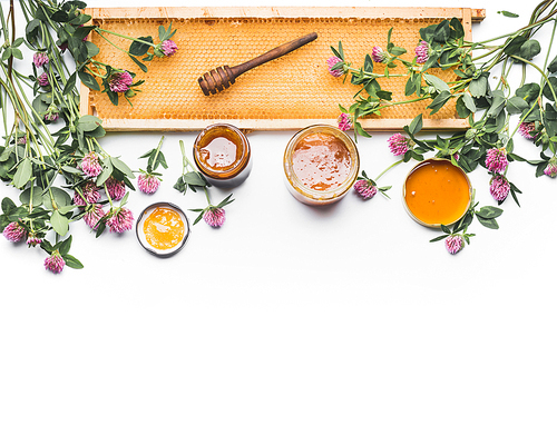 Honey in jars with dipper, honeycomb frame and wild flowers on white background, top view. Healthy  food, flat lay, border, horizontal