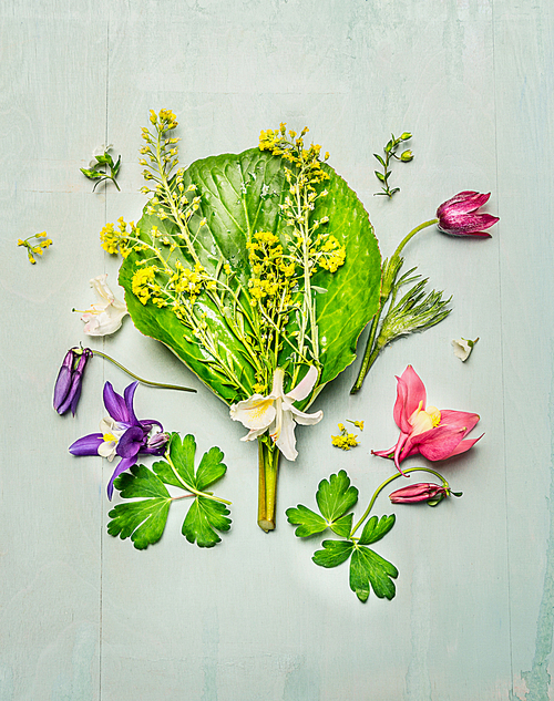 Pretty garden plant and colorful flowers with petal and leaves on light green shabby chic wooden background, top view. Herbal composing.