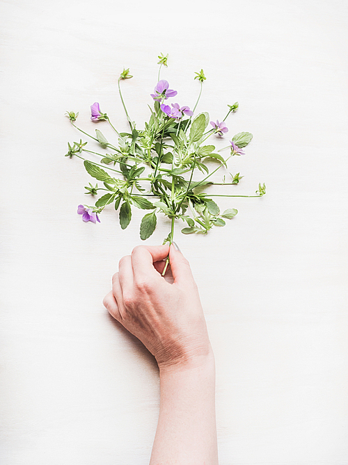 Female hand holding flowers bunch on white wooden table background, top view