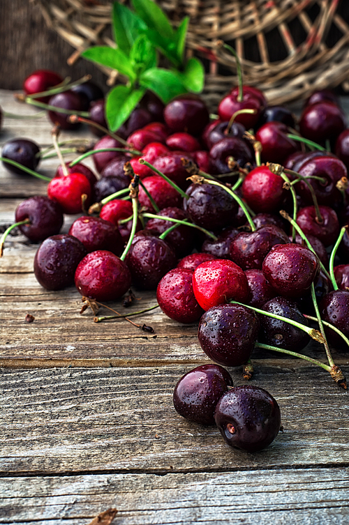 juicy and fresh berries June cherry.The image is tinted.Selective focus