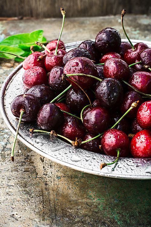 ripe large cherries in the iron bowl iron on the background in bright sunlight.The image is tinted.Selective focus