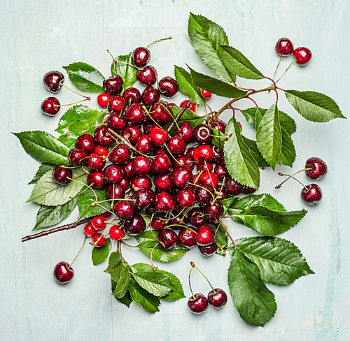 Cherry bunch with with fruits and green leaves and branch on wooden background, top view