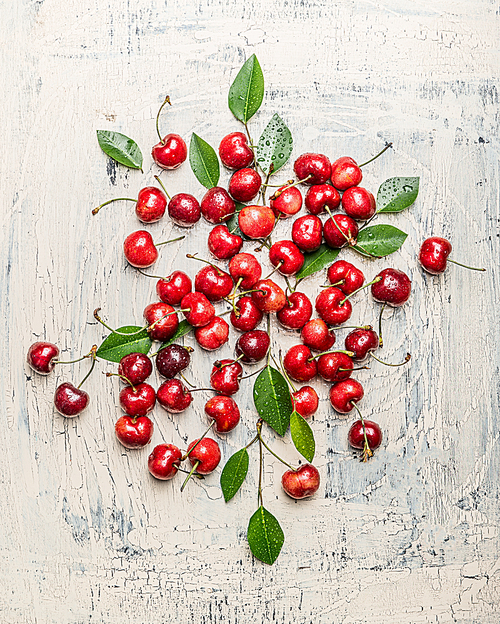 Scattered cherry berries with green leaves on light rustic background, top view. Summer fruit concept