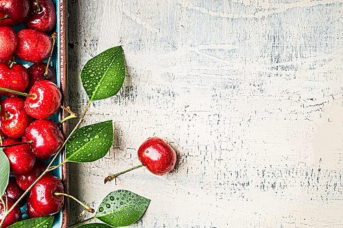 Sweet red cherries with leaves on white wooden vintage background, top view. Summer fruits and berries concept