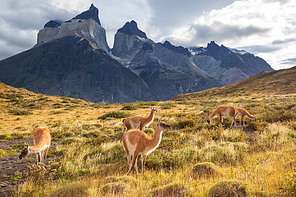 Beautiful mountain landscapes in Torres Del Paine National Park, Chile. World famous hiking region.