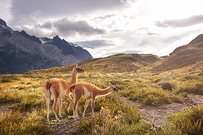 Beautiful mountain landscapes in Torres Del Paine National Park, Chile. World famous hiking region.