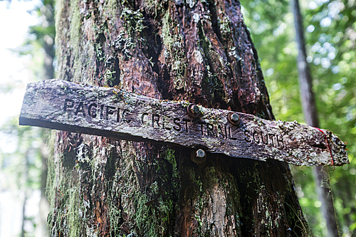 Sign post for Pacific Crest Trail. Famous hiking trail in North America.