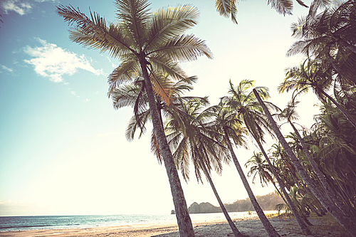 Serenity on the tropical beach