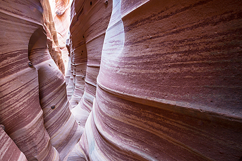 Slot canyon in Grand Staircase Escalante National park, Utah, USA. Unusual colorful sandstone formations in deserts of Utah are popular destination for hikers. Living coral toned.