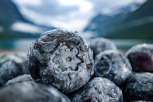 Blueberry antioxidants on a wooden table on a background of Norwegian nature.