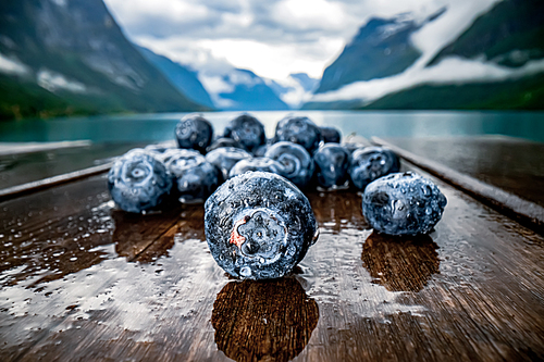 Blueberry antioxidants on a wooden table on a background of Norwegian nature.