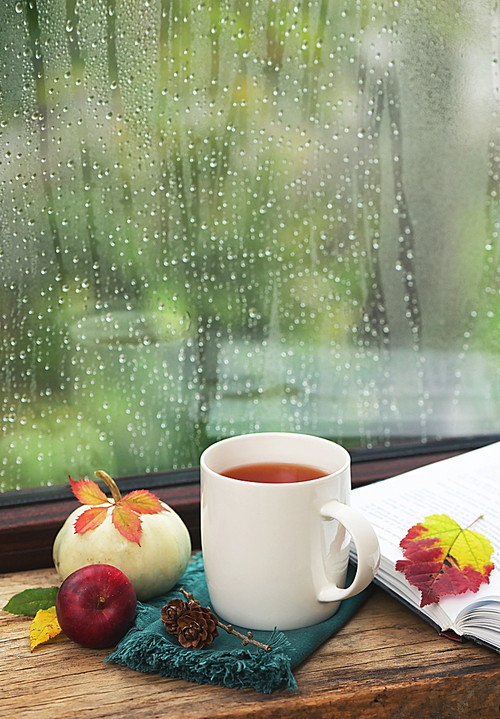 Cup Of Tea Near A Pumpkin And Book in A Rainy Day