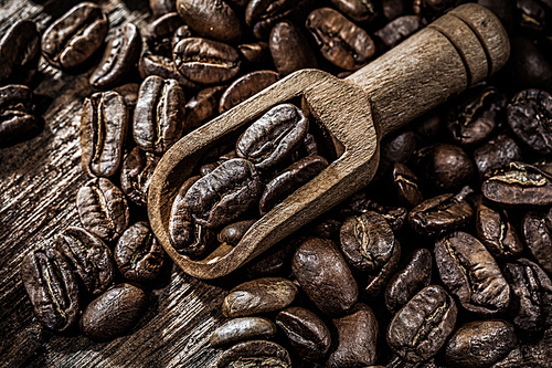 Fresh coffee crops in scoop on wooden board.