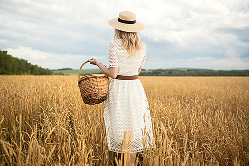 Young attractive woman and golden wheat field. Harvest concept.