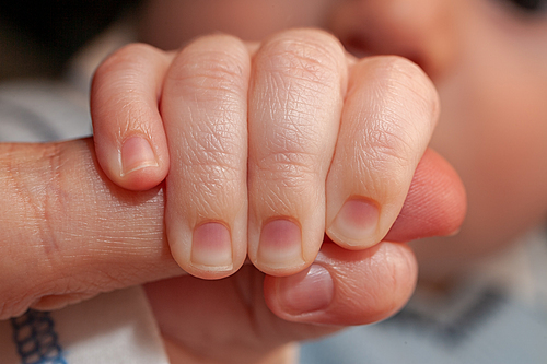 Close up of baby hand holding an adult parent finger