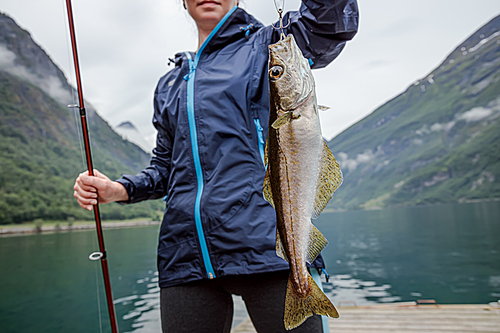 Woman fishing on Fishing rod spinning in Norway. Fishing in Norway is a way to embrace the local lifestyle. Countless lakes and rivers and an extensive coastline means outstanding opportunities...