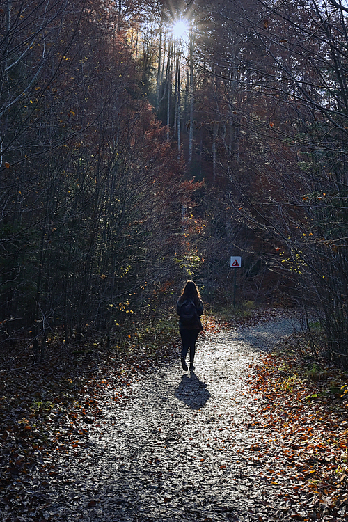 Young Girl With A Backpack Is Walking Through A Forest Against the Sun