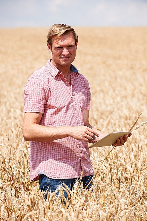 Portrait Of Farmer With Digital Tablet In Wheat Field Inspecting Crop