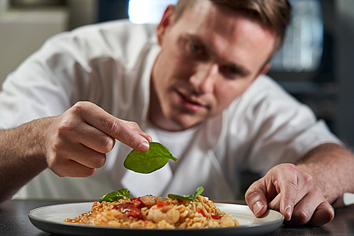 Male Chef Garnishing Plate Of Food In Professional Kitchen