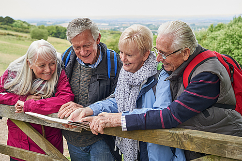 Group Of Senior Friends Hiking In Countryside Standing By Gate  Looking At Map