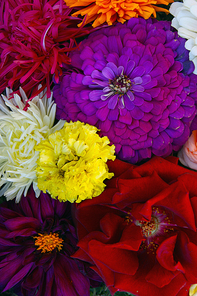 Beautiful bouquet from decorative flower aster and rose