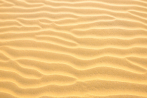 Texture of yellow desert sand dunes. Can be used as natural background