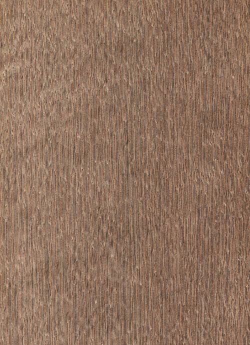 Natural wooden texture background.Oak wood.
