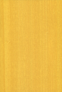 Natural wooden texture background. Koto wood, African Pterygota.