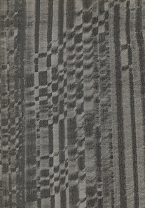 Natural wooden texture background. Eucalyptus wood.