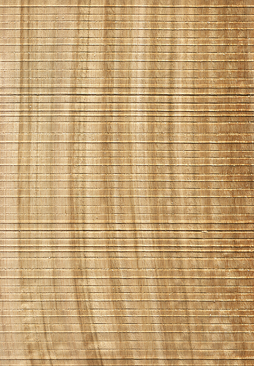 Natural wooden texture background. Eucalyptus wood.