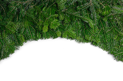 Christmas fir tree branches border frame isolated on white, copy space for text