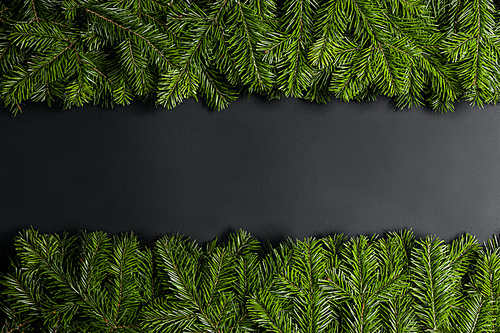 Christmas border arranged with fresh fir branches on black paper background , copy space for text