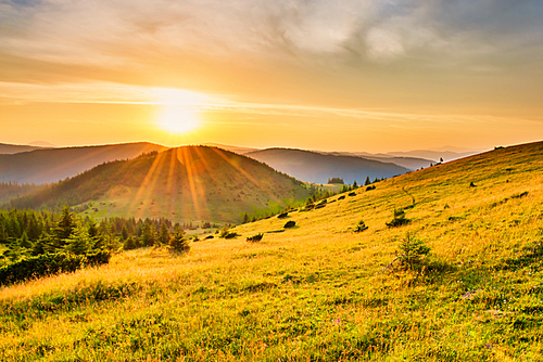 Sunset in the mountains with forest, green grass and big shining sun on dramatic sky