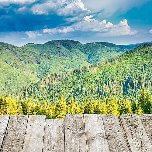 View from wooden deck to treen mountains with pine forest at sunset sun light