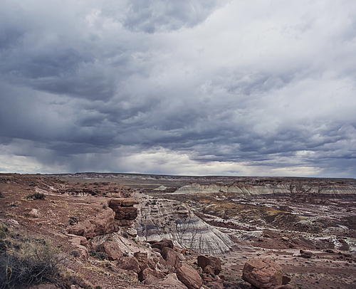 Rainy Day in Petrified Forest National Park, Arizona, USA